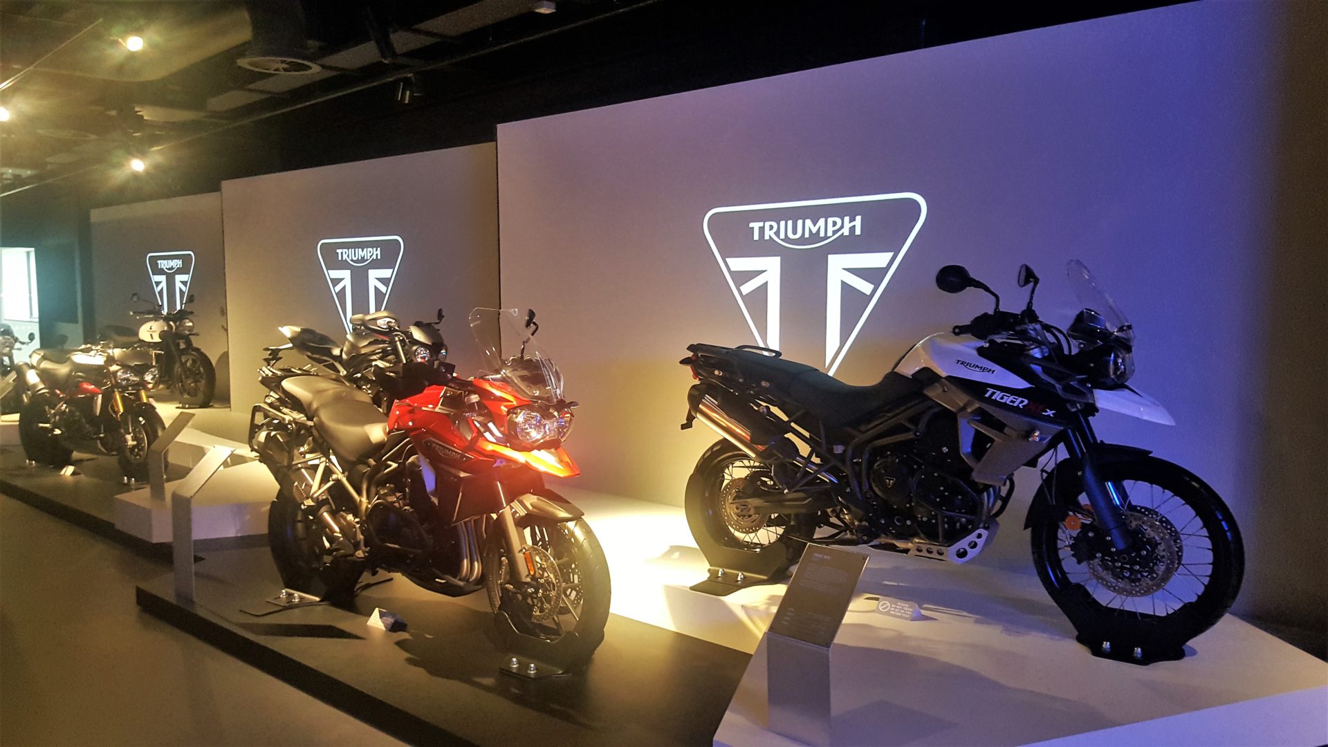 Triumph Bike Display